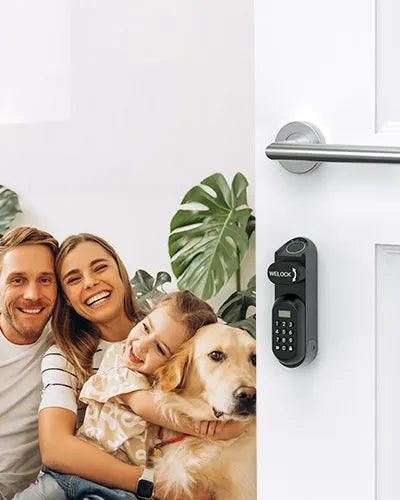 Smart Locks for Home
