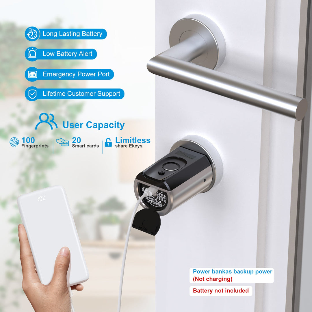 Lucchetto Digitale Anweller Bluetooth E Impronte: L'antenna Verde Avocado Per La Tua Sicurezza!