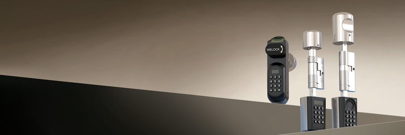 WELOCK Smart Cylinder & Electronic Cylinder Locks for Euro Doors